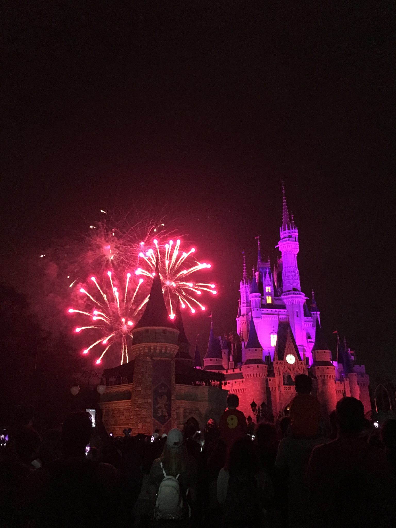 Magic Kingdom fireworks