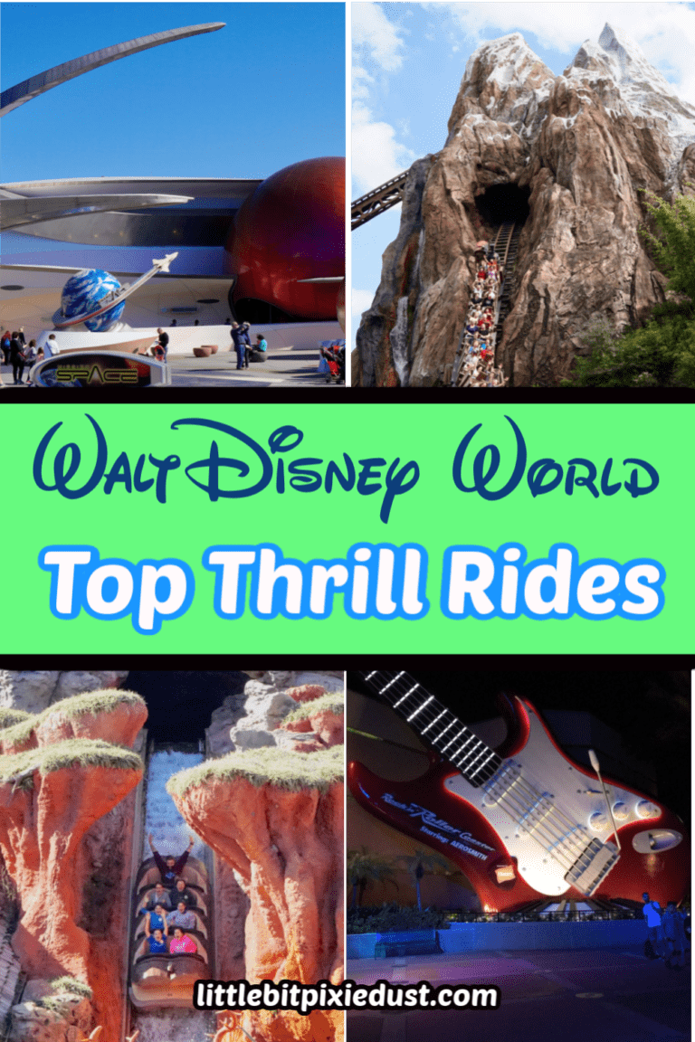 Best Walt Disney World Thrill Rides - Home