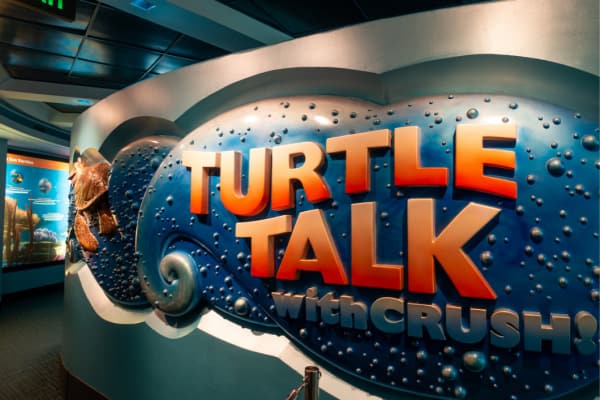 Turtle Talk with Crush 