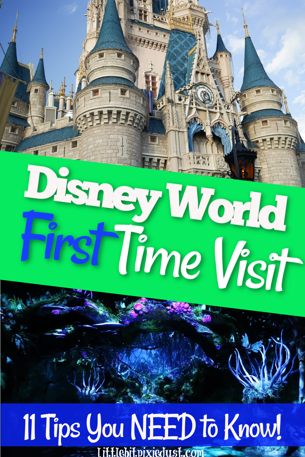First Disney world vacation pin