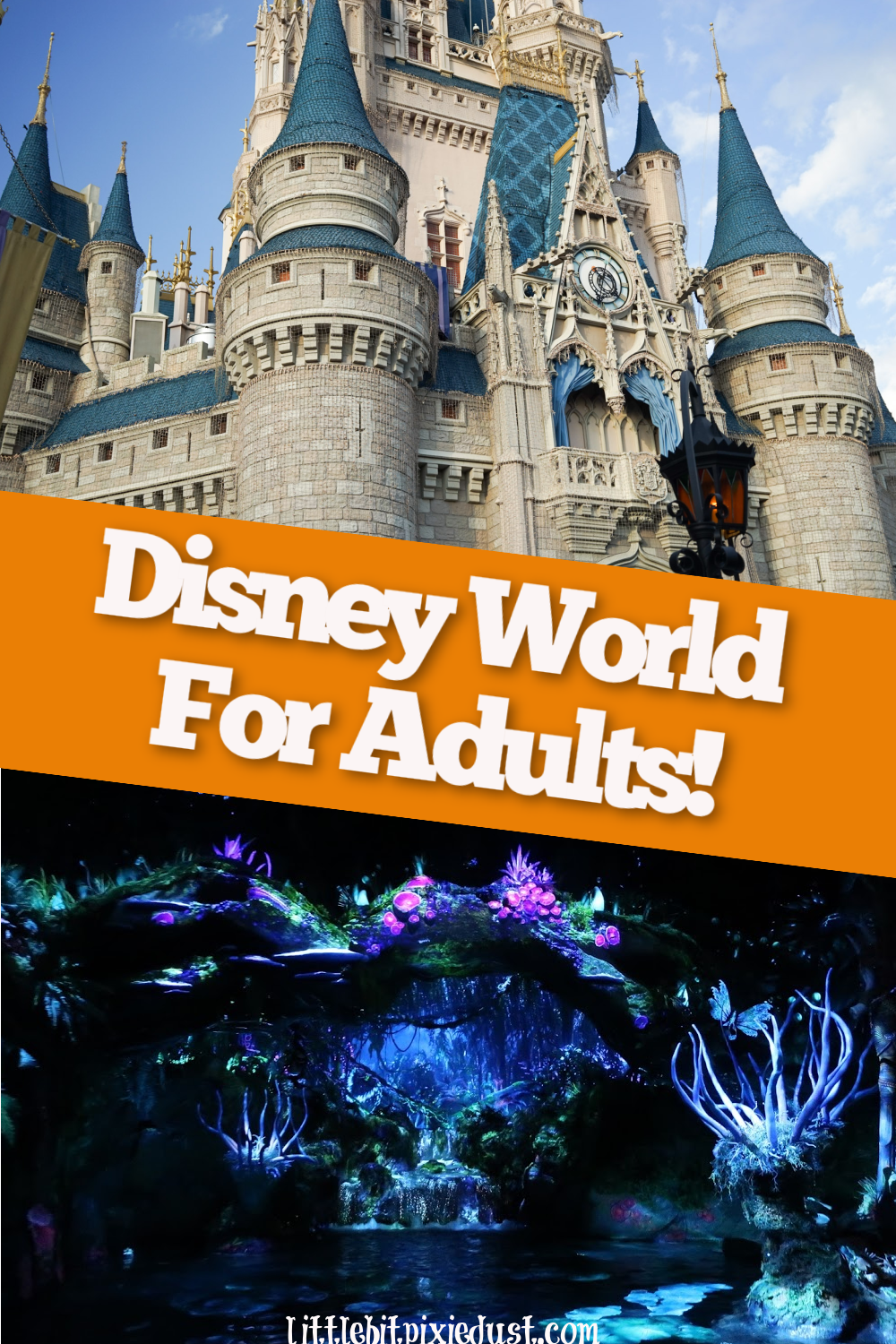 disney for adults