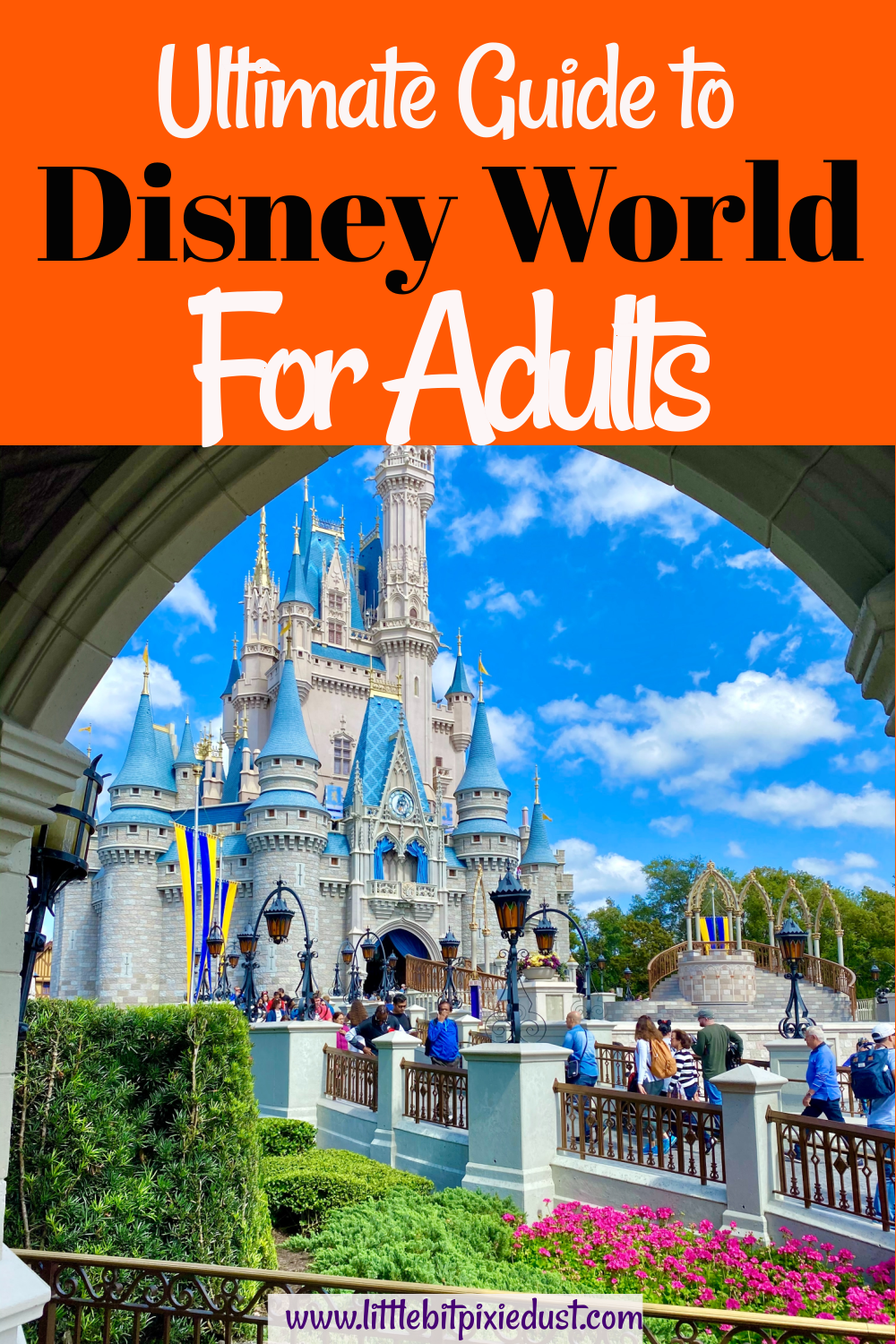 disney for adults