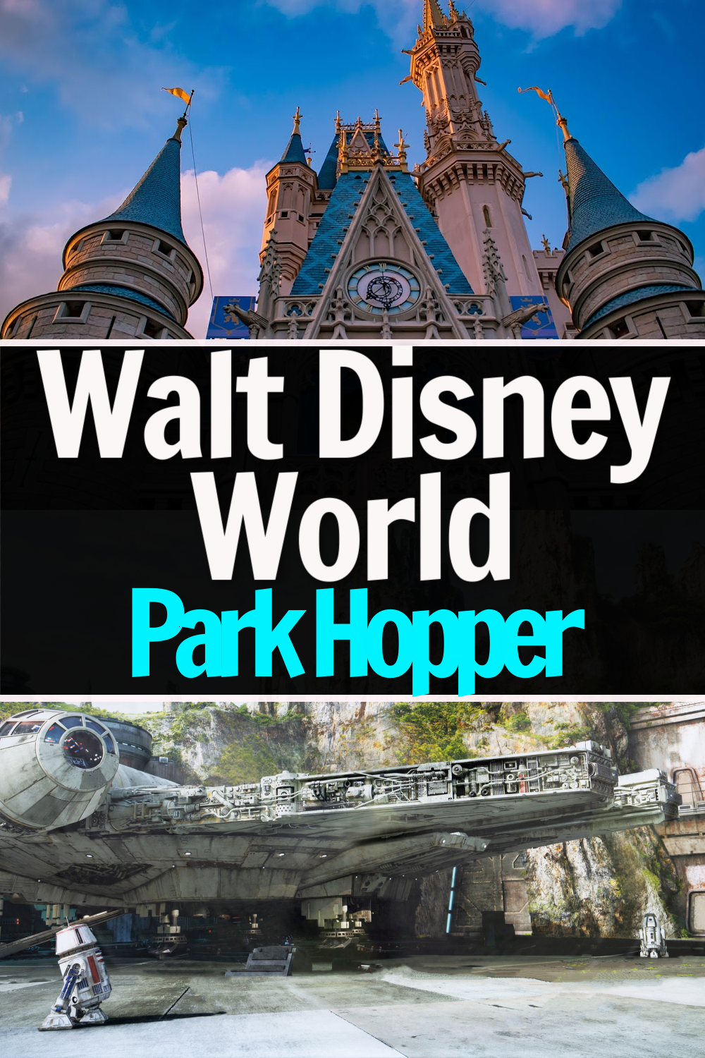Disney Park Hopper