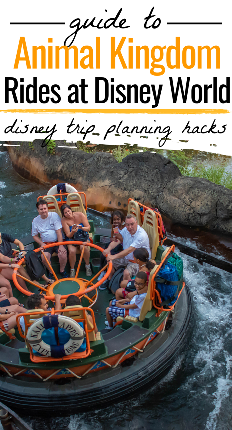 Complete Guide to Rides at Disney's Animal Kingdom