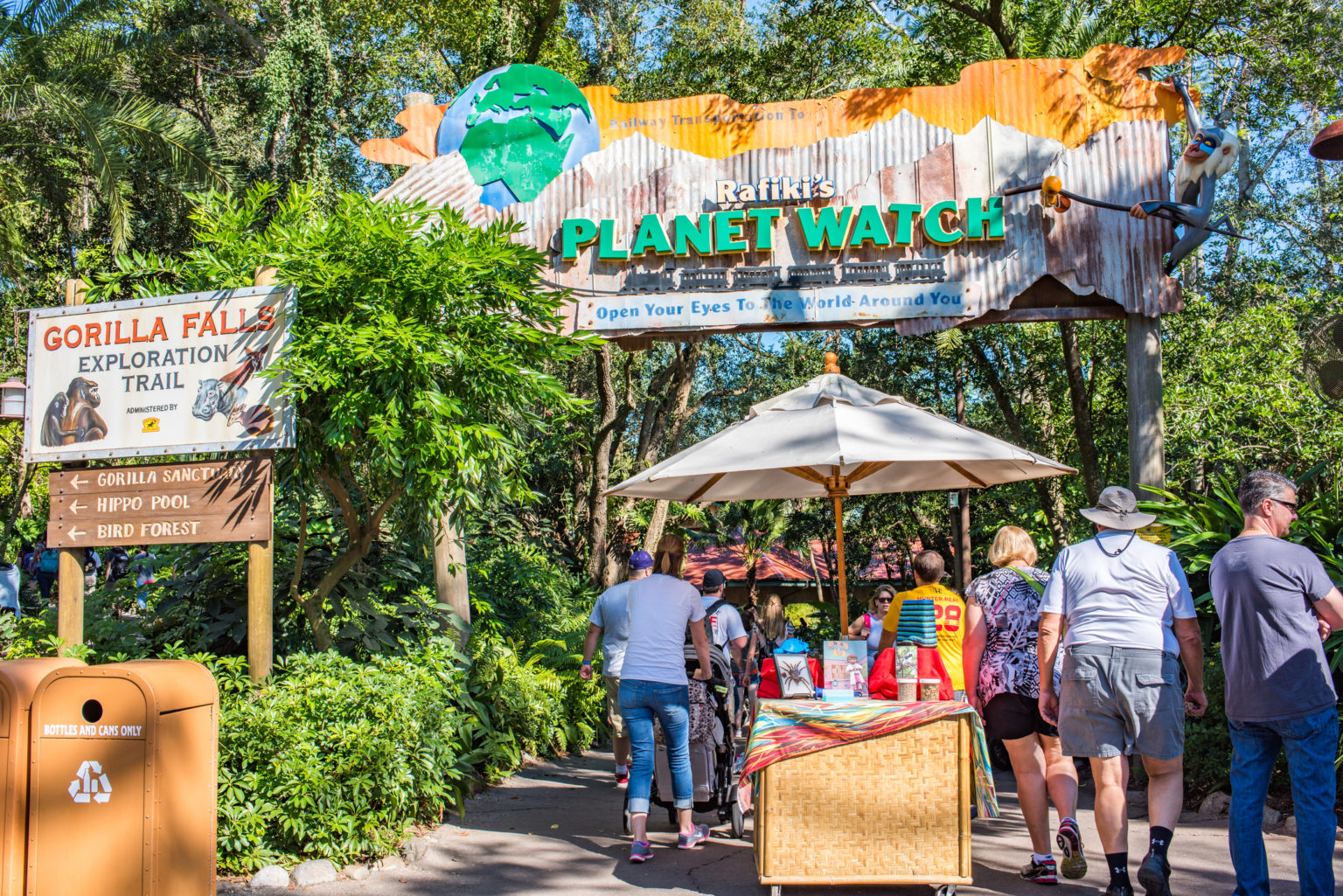 Complete Guide to Rides at Disney's Animal Kingdom - Home