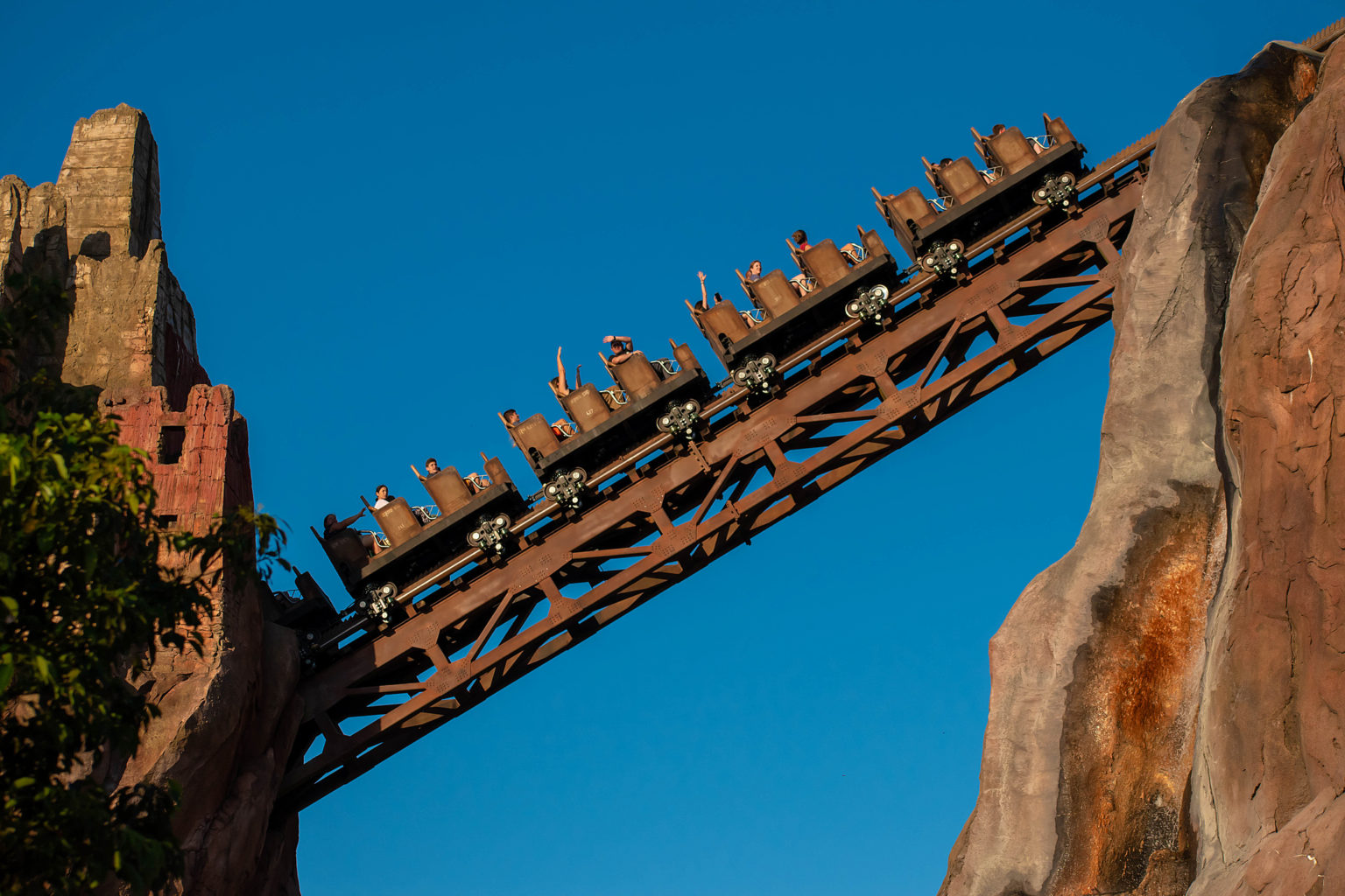 Complete Guide to Rides at Disney's Animal Kingdom Home