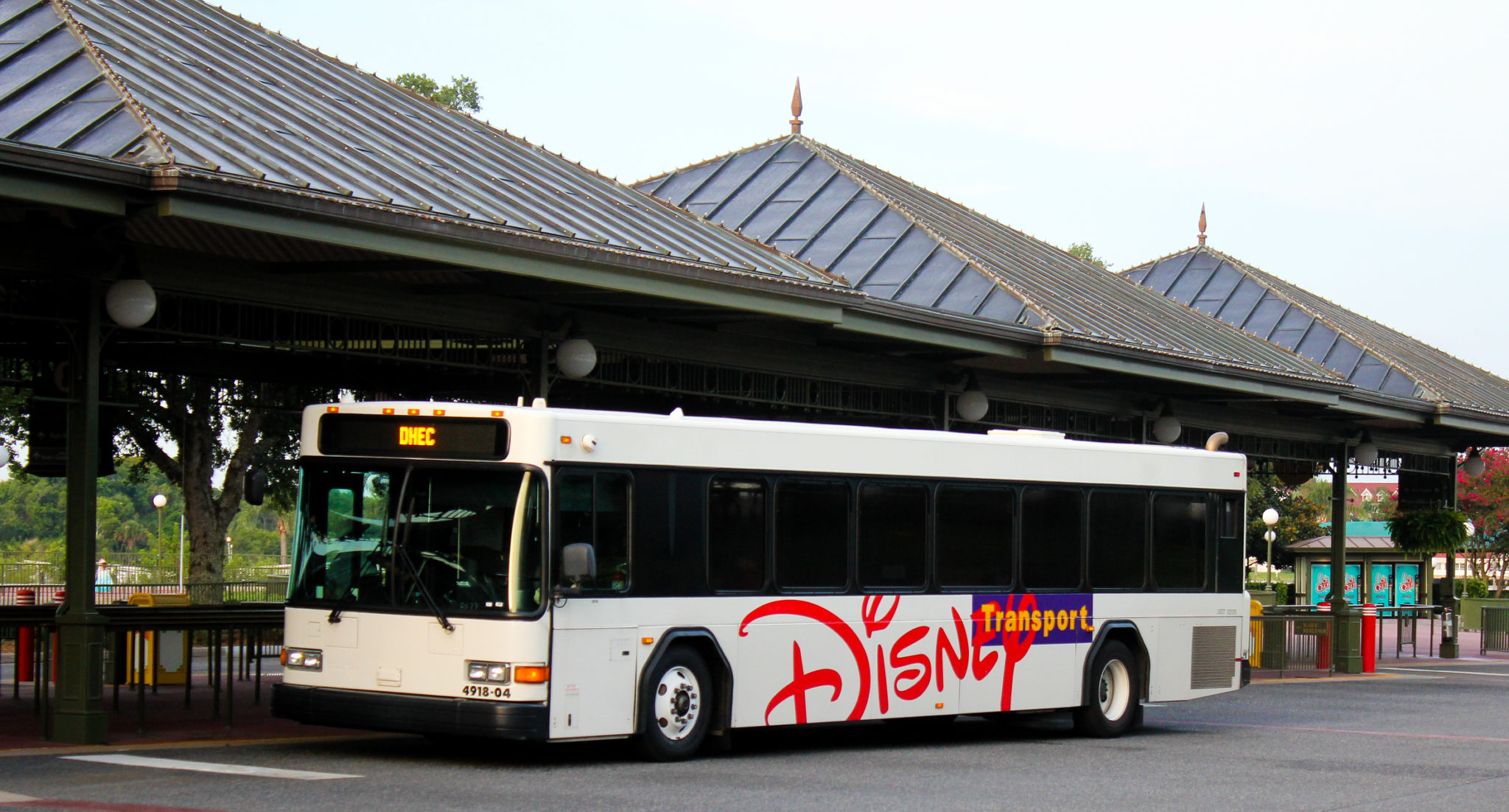 disney transportation - bus