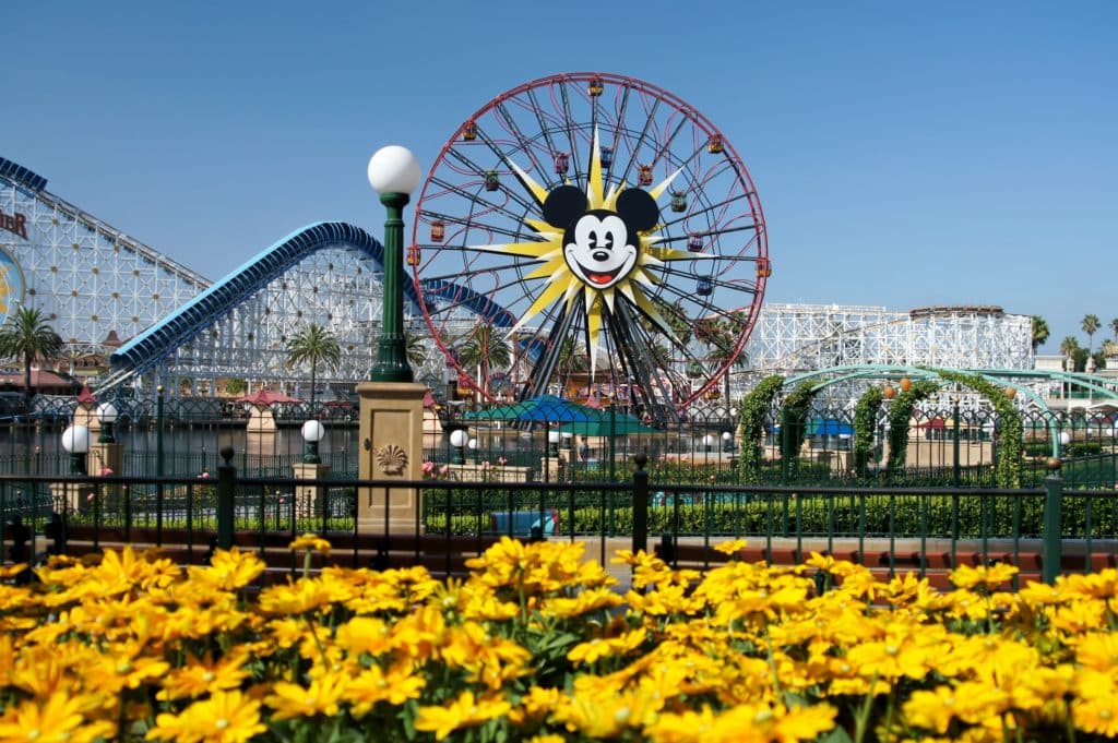 Disneyland vs Disney World: Differences Between the Disney Parks - Home